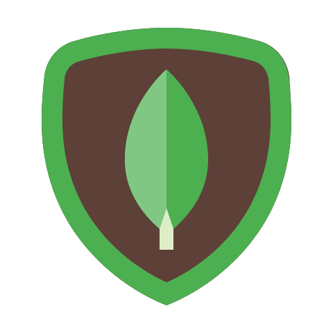 Front-End Developer